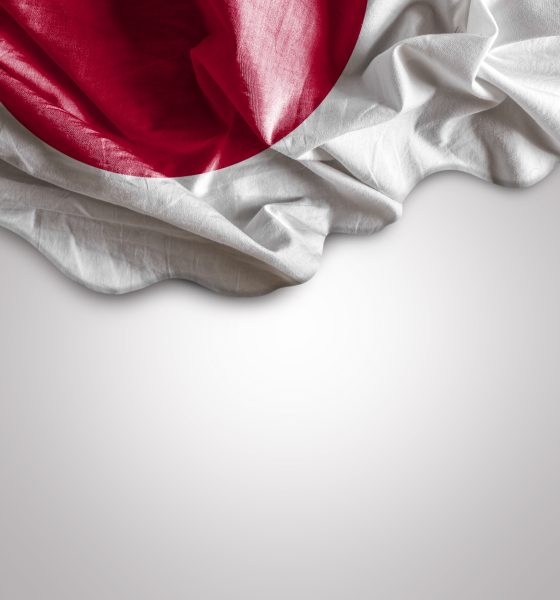 Japan Parties Submit Bill Criminalizing Flag Vandalism