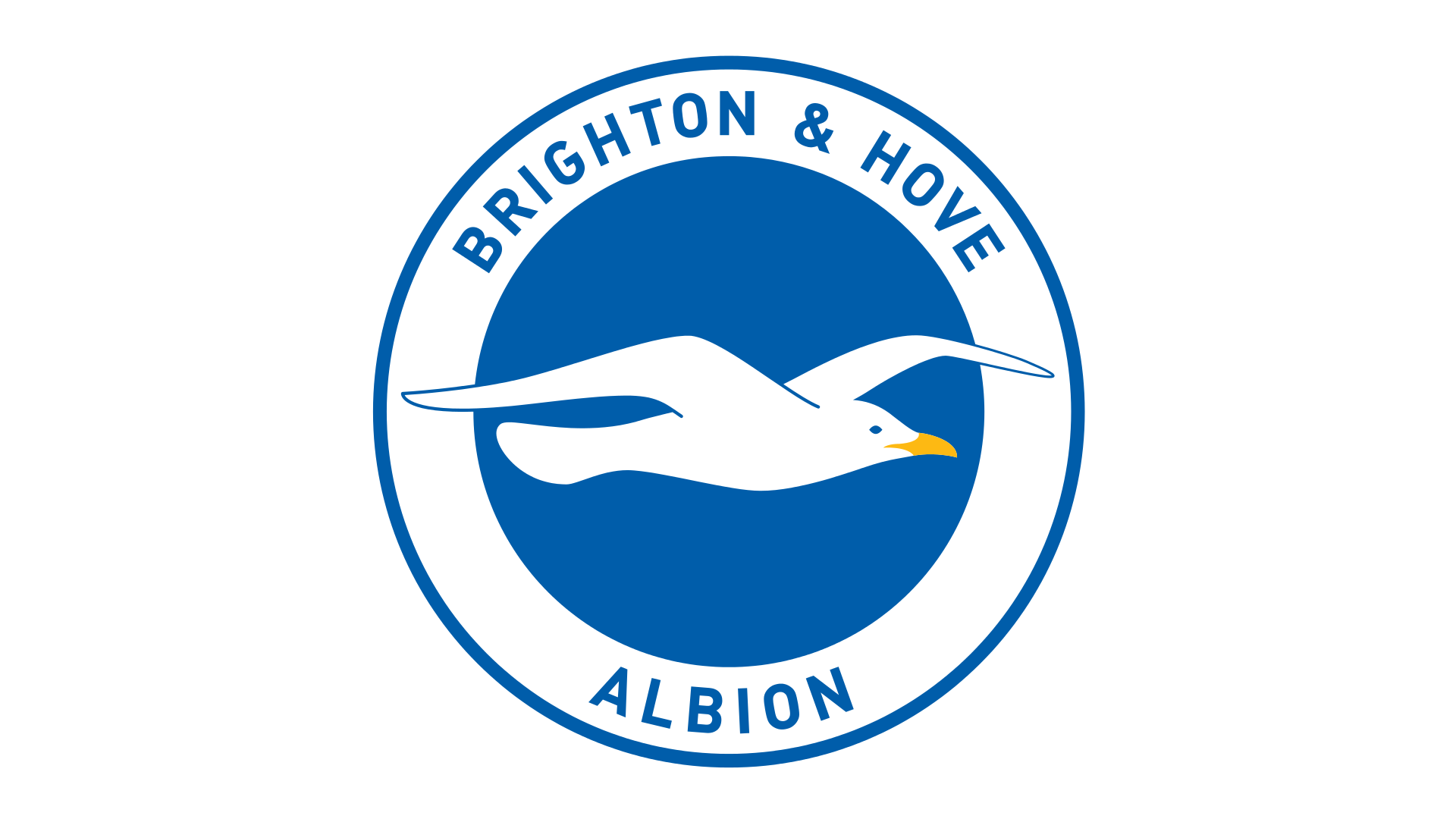 Brighton and Hove Albion FC History 2526