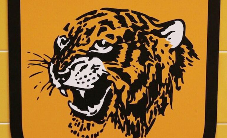 Hull City FC History