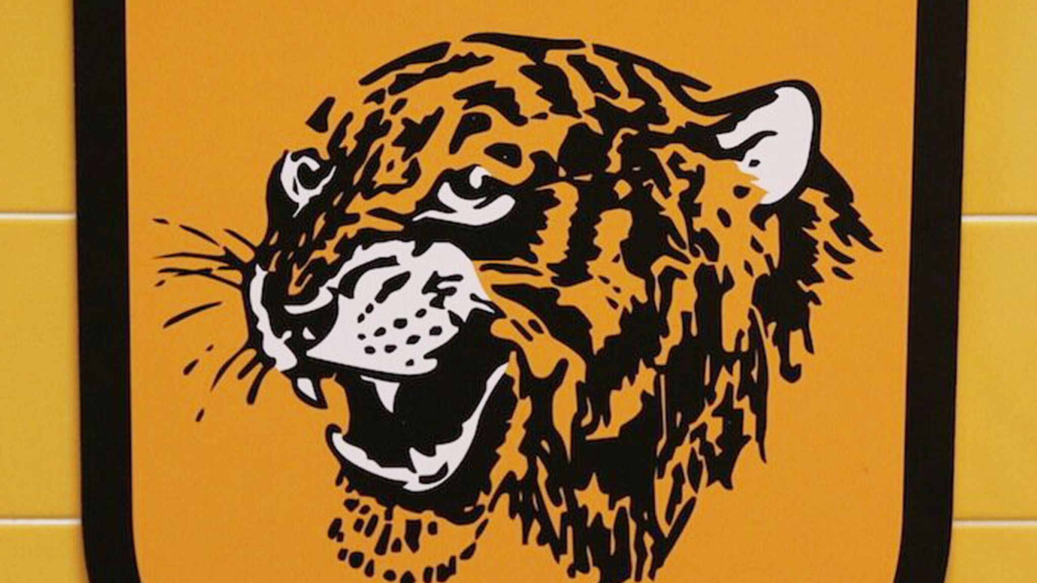 Hull City FC History 2526