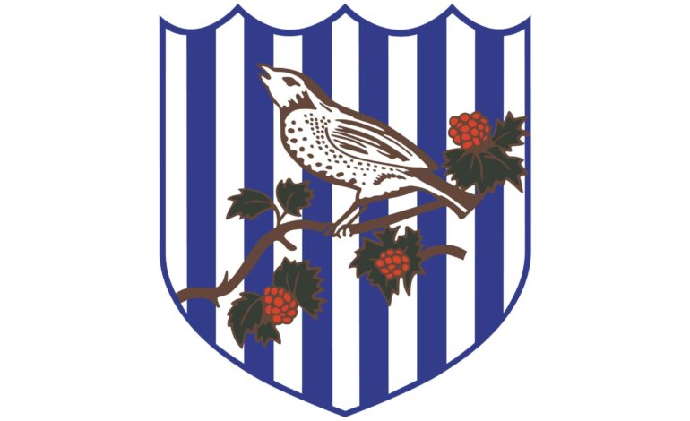West Bromwich Albion FC History