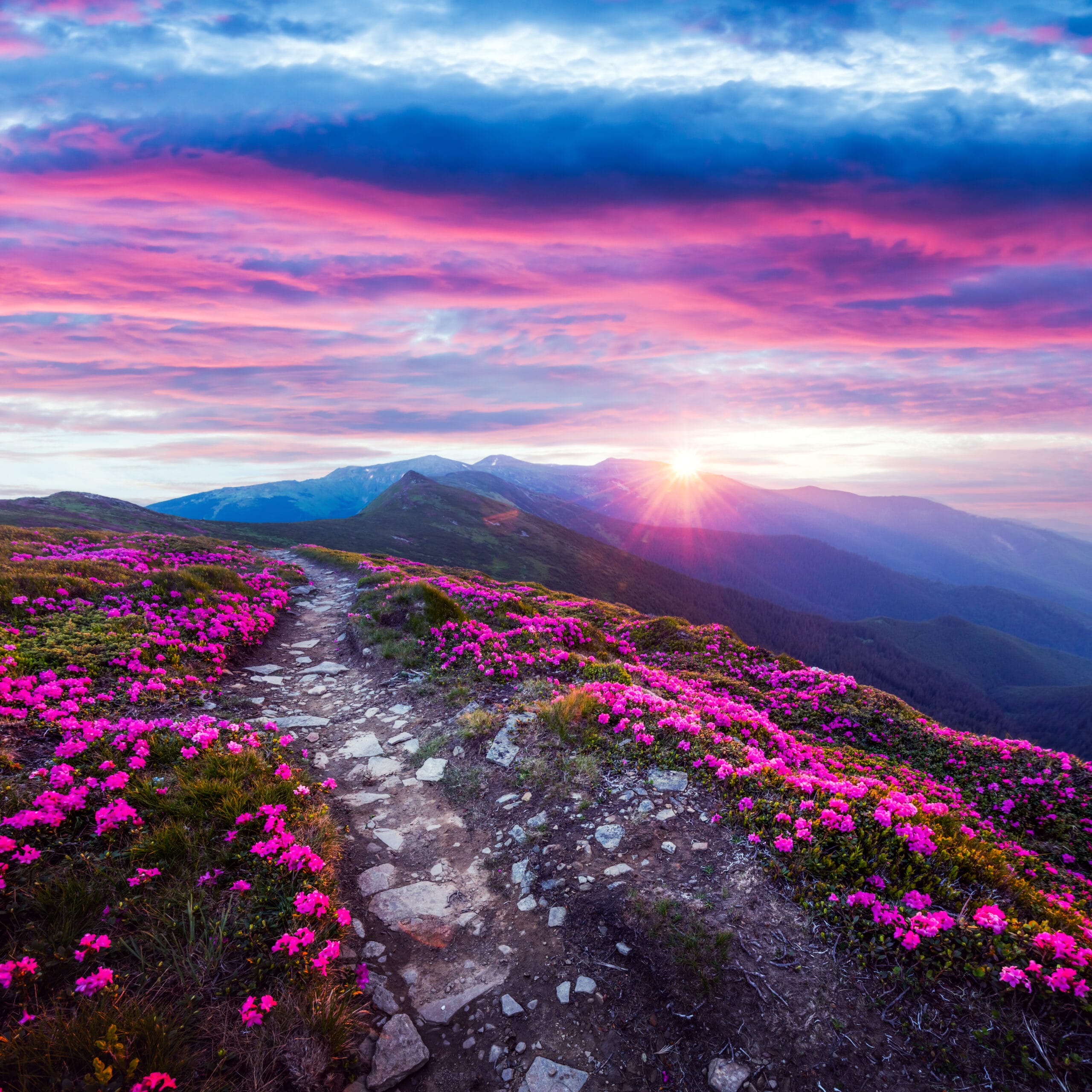 Air Quality Akita Prefecture